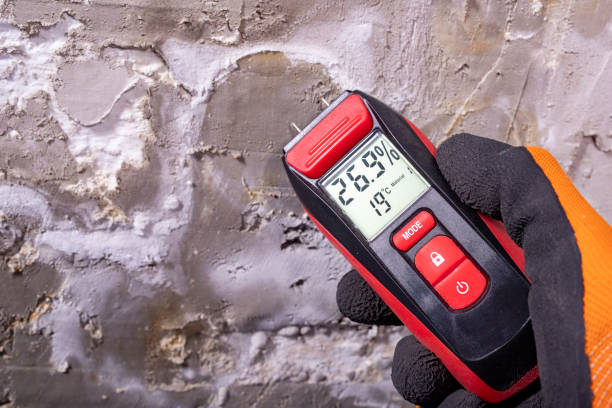 Best Home Mold Removal  in Brundidge, AL