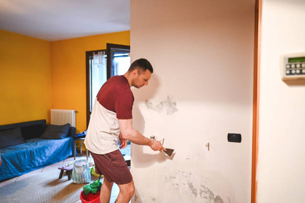 Best Residential Mold Removal  in Brundidge, AL